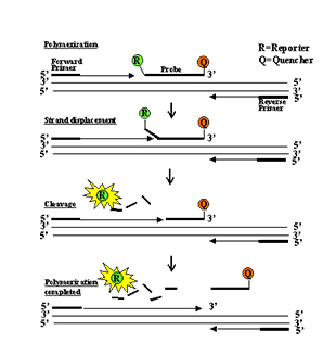 首页-人生就是博手机版